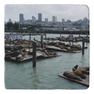 San Francisco and Pier 39 Sea Lions City Skyline Trivet