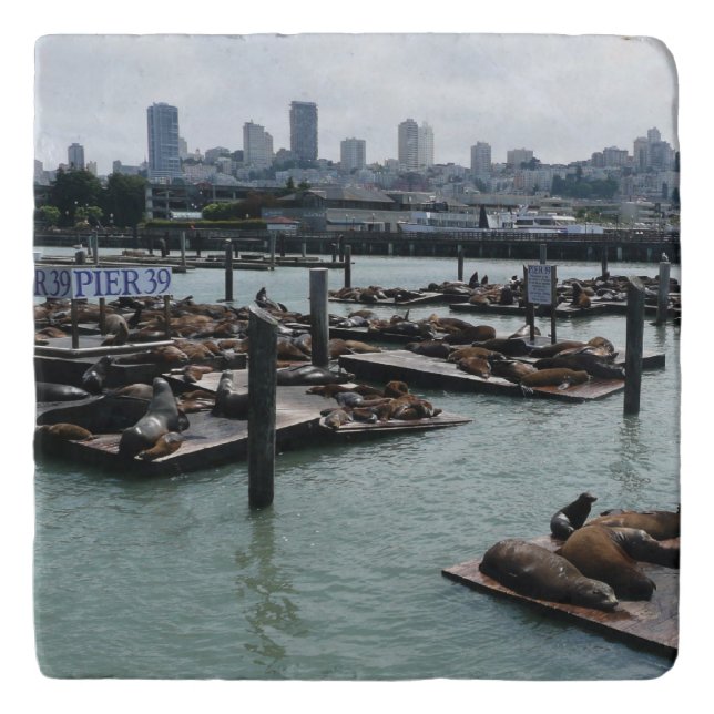 San Francisco and Pier 39 Sea Lions City Skyline Trivet (Front)