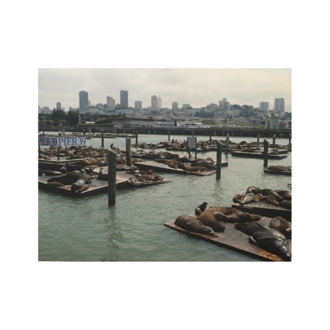 San Francisco and Pier 39 Sea Lions City Skyline Wood Poster (Front)