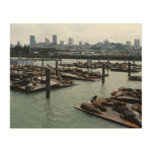 San Francisco and Pier 39 Sea Lions City Skyline Wood Wall Decor