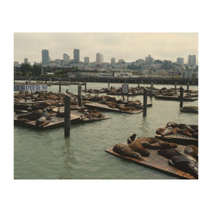 San Francisco and Pier 39 Sea Lions City Skyline Wood Wall Decor