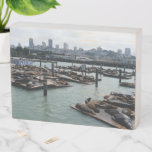 San Francisco and Pier 39 Sea Lions City Skyline Wooden Box Sign