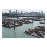 San Francisco and Pier 39 Sea Lions City Skyline Wrapping Paper Sheets