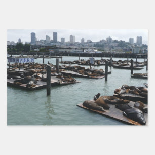 San Francisco and Pier 39 Sea Lions City Skyline Wrapping Paper Sheets