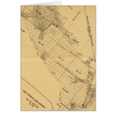 San Francisco Bay Salt Marsh (Front)