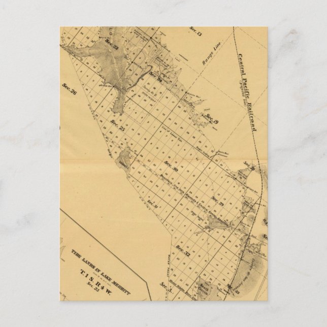 San Francisco Bay Salt Marsh Postcard (Front)