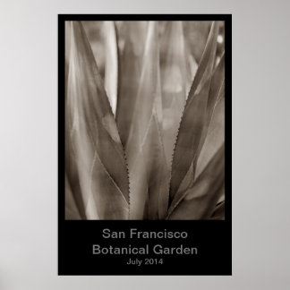 San Francisco Botanical Garden #1 Poster