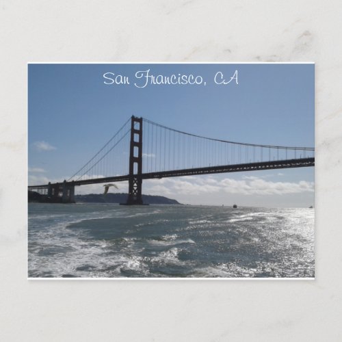 San Francisco CA Golden Gate Bridge Birds postcard
