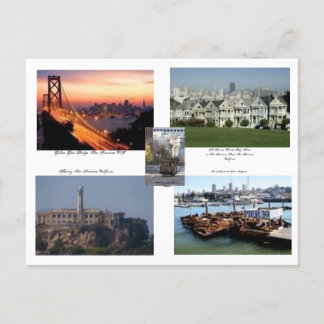 San Francisco California Postcard