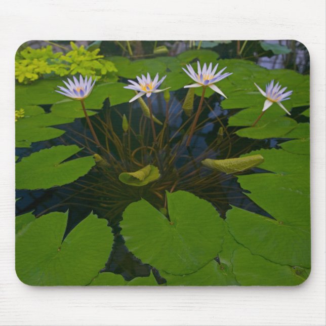 San Francisco Californias Golden Gate Park and Mouse Pad (Front)