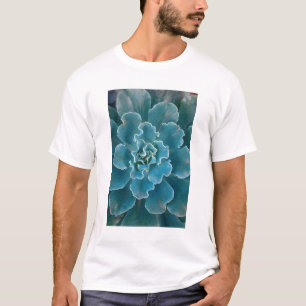 San Francisco Californias Golden Gate Park and T-Shirt