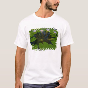 San Francisco Californias Golden Gate Park and T-Shirt