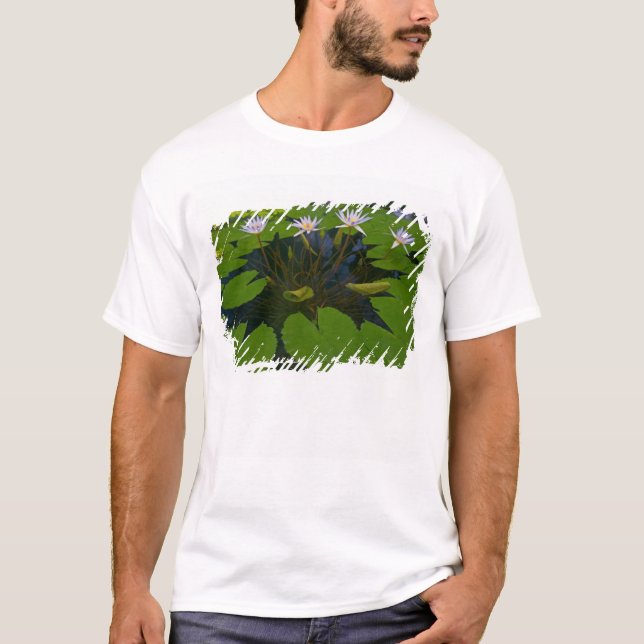 San Francisco Californias Golden Gate Park and T-Shirt (Front)