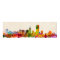 San Francisco City Skyline
