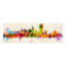 San Francisco City Skyline