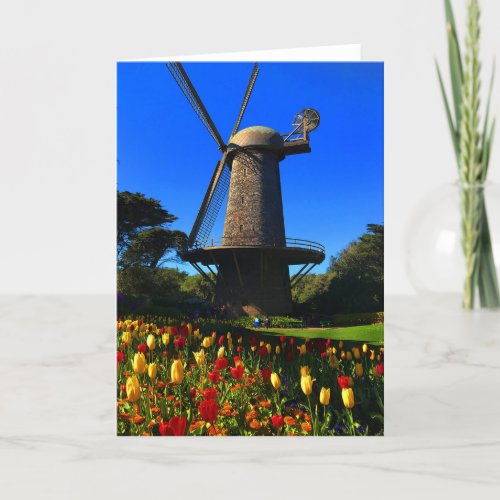 San Francisco Dutch Windmill 5 Card