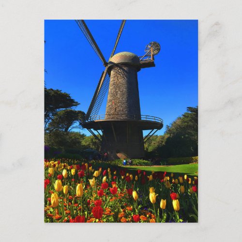 San Francisco Dutch Windmill 5 Postcard