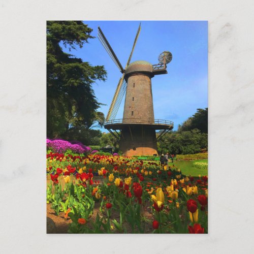 San Francisco Dutch Windmill 6 Postcard