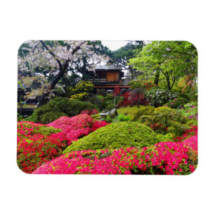 San Francisco Japanese Tea Garden #12 Magnet