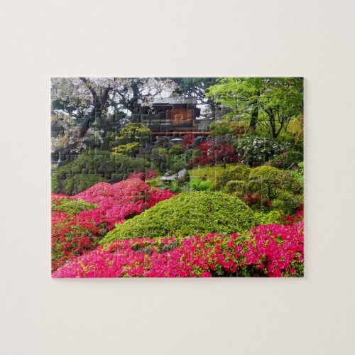 San Francisco Japanese Tea Garden 12 Puzzle