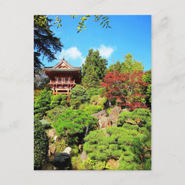 San Francisco Japanese Tea Gardens Postcard (Front)