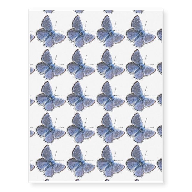 San Francisco Mission Blue Butterfly Temporary Tattoos (Front)