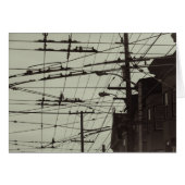 San Francisco MUNI lines (Front Horizontal)