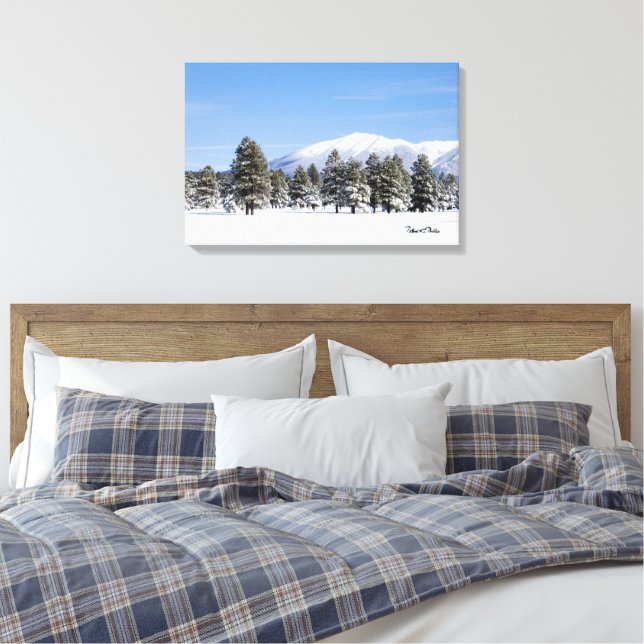 San Francisco Peaks In Snow Arizona Photograph Canvas Print (Insitu(Bedroom))