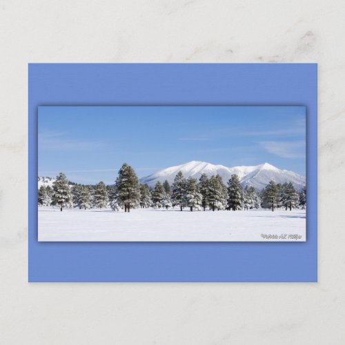 San Francisco Peaks In Snow Postcard