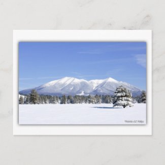San Francisco Peaks In Snow
