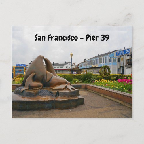 San Francisco Pier 39 13 Postcard