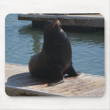 San Francisco Pier 39 Sea Lions #3-2 Mouse Pad