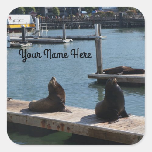 San Francisco Pier 39 Sea Lions 3 Stickers