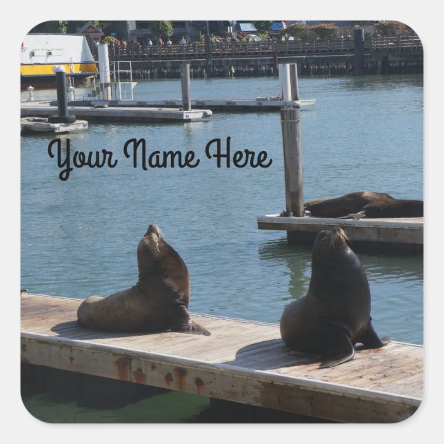 San Francisco Pier 39 Sea Lions #3 Stickers (Front)