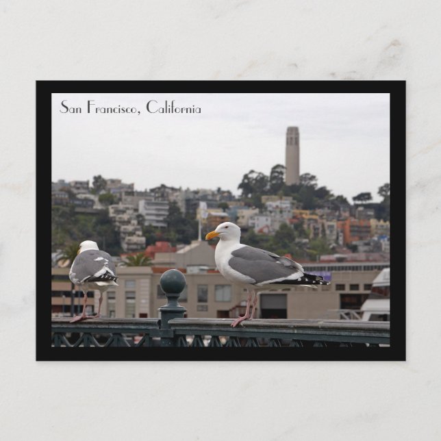 San Francisco Postcard (Front)