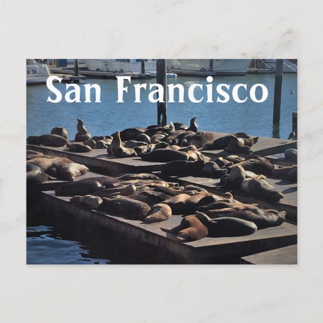 San Francisco Postcard (Front)