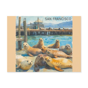 San Francisco Sea Lions Pier 39 Watercolor Postcard