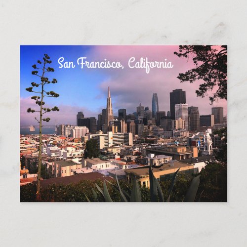 San Francisco Skyline 12 Postcard