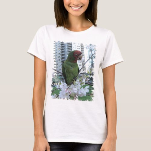 San Francisco  Wild parrots of Telegraph Hill T_Shirt