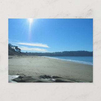 San Franciso, CA Postcard