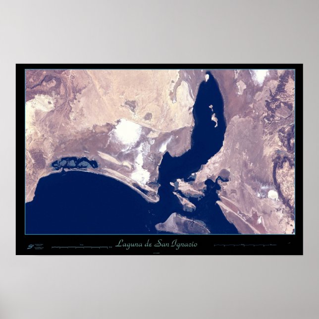 San Ignacio Lagoon, Baja CA Sur, Mexico poster (Front)