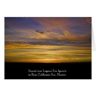 San Ignacio Lagoon Sunset Cards