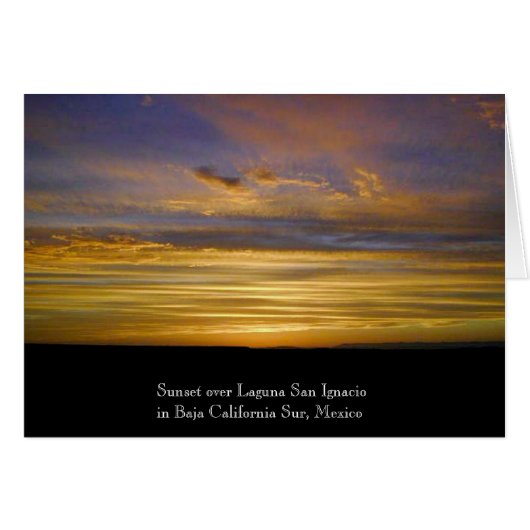 San Ignacio Lagoon Sunset Cards (Front Horizontal)