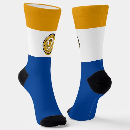 San Jose California city flag Socks