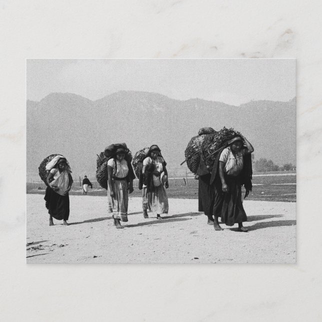 San Juan Chamula, Chiapas, Mexico Postcard (Front)