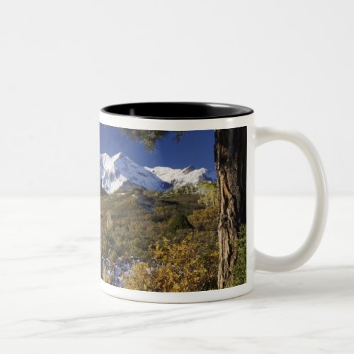 San Juan Mountains and Aspen trees in fallcolor Two_Tone Coffee Mug