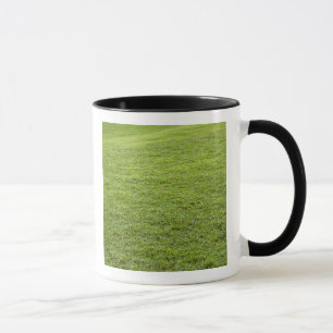 San Juan, Puerto Rico - Green grass is Mug