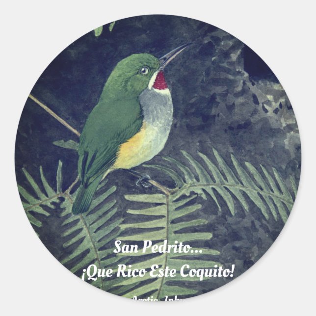 San Pedrito... ¡Que Rico Este Coquito!     Classic Round Sticker (Front)