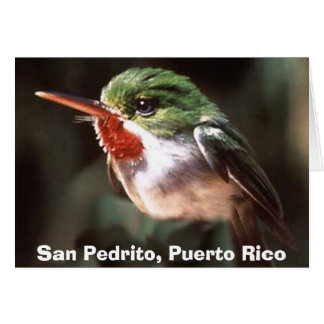 San Pedrito, San Pedrito, Puerto Rico Cards