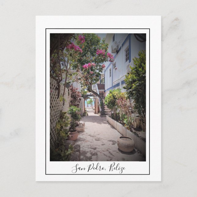 San Pedro Ambergris Caye Belize Postcard (Front)